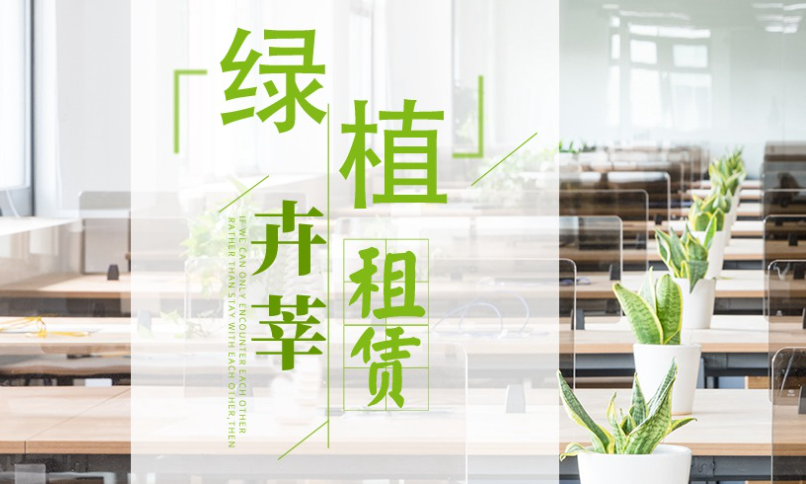 辦公室的綠植租賃方案